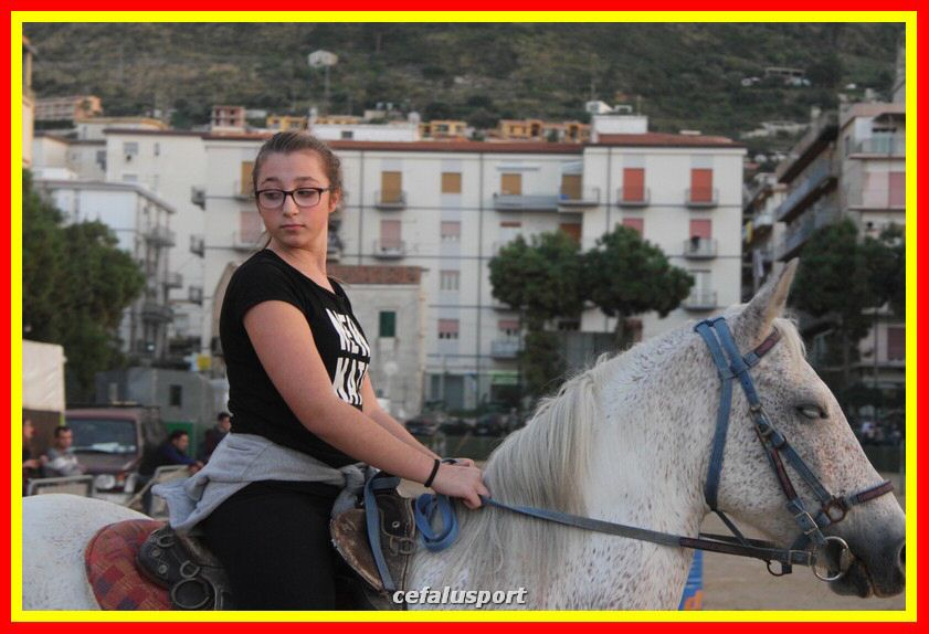 161106 equestre 145_tn.jpg